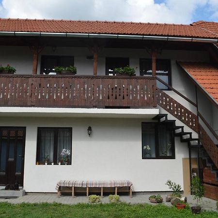 Havasi Gyopar Bed and Breakfast Praid Buitenkant foto