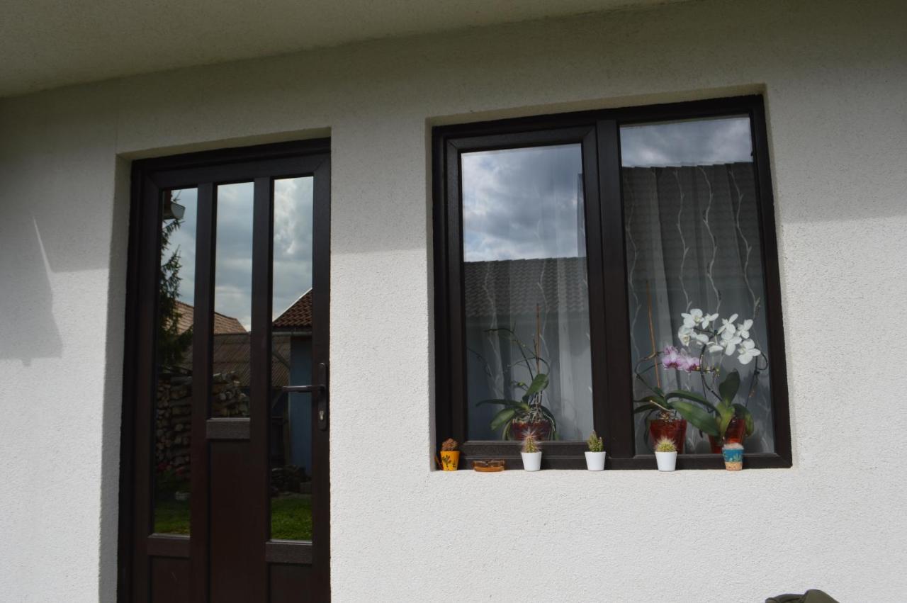 Havasi Gyopar Bed and Breakfast Praid Buitenkant foto